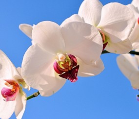 无锡正规助孕捐卵机构，附正规捐卵机构报名表！
